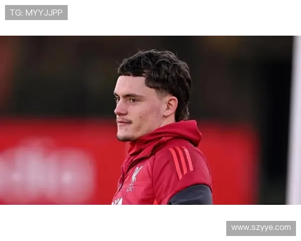 维尔茨与德布劳内：创造力与经验差距解析