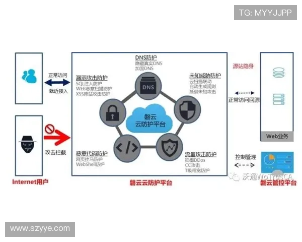 凯尔·沃克对比坎塞洛：防守能力与技术路线对比